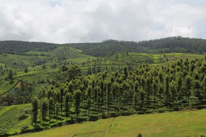 best place to stay in ooty